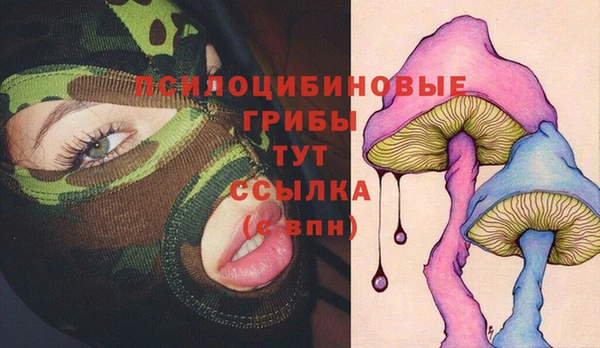 дмт Алзамай