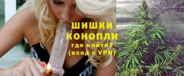 дмт Алзамай